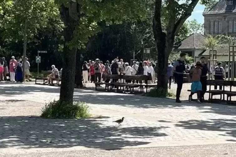 Domgarten: Polizisten führen den Randalierer (rechts) ab.