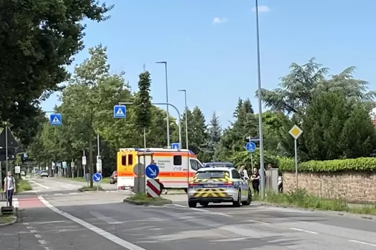 Unfallort: Kreuzungsbereich von Spaldinger Straße und Nußbaumweg in Speyer-Nord.