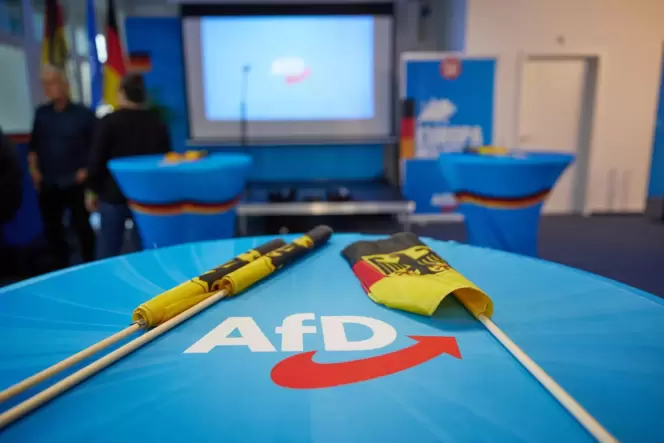 Verzeichnet in pfälzischen Kreisen, Städten und Gemeinden starke Zugewinne: die AfD.