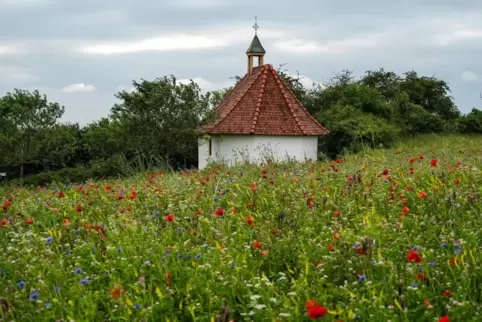 Das frisch sanierte Dach schützt die Mauern und damit die wertvollen Wandmalereien in der Landauer Kapelle vor eindringender Feu