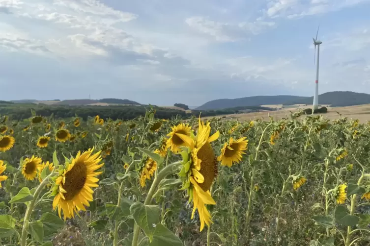 Viel Landschaft und vielleicht ein bisschen Erneuerbare Energie: Landrat Otto Rubly wünscht sich mehr wirtschaftliche Entwicklun