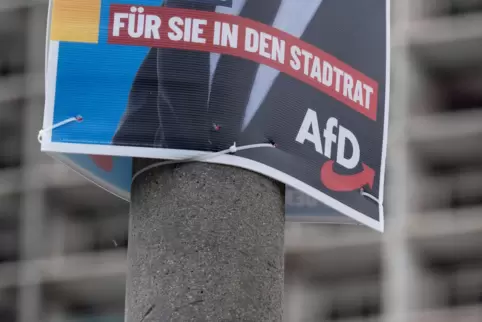 Ein Wahlplakat der AfD. 