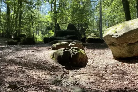 Der Pfaffenbrunnen beim Bremerhof in Kaiserslautern liegt an der Strecke des Pfälzer Waldpfads. 