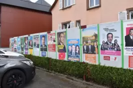 Die Plakatwand zeigt: Die elsässischen Nachbarn konnten unter vielen Parteien zur Europawahl auswählen. 
