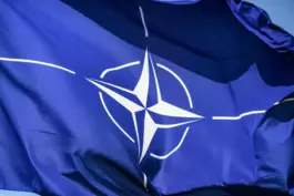 Seit 75 Jahren gibt es die Nato. Beim Gipfel von Washington im Juli soll es um die Zukunft der Allianz gehen.