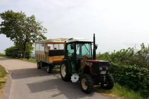 Nicht selbstgezimmert: Das Planwagen-Gespann des Weinguts Stachel in St. Martin. 