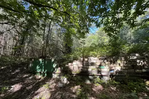 Im Wald in Richtung Leistadt liegen in der Nähe vom Schützenhaus die Reste der Gondelanlage versteckt. 