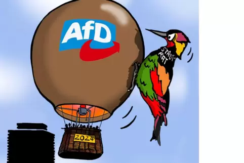 afd wahl kopie