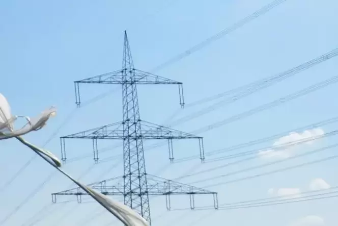 Die Pfalzwerke sorgten nach dem Stromausfall wieder für die Stromversorgung.