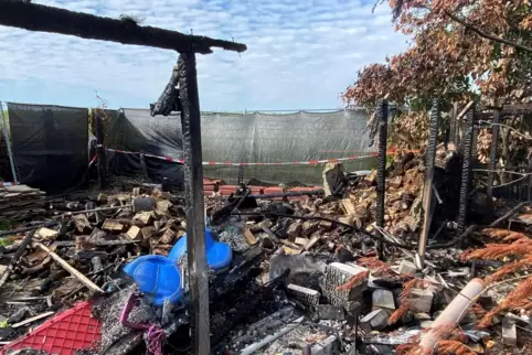 Das Feuer hat die Gärten der beiden Grundstücke in Birkenheide stark in Mitleidenschaft gezogen. 