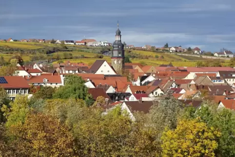 geo naturpfad nahe kallstadt 2