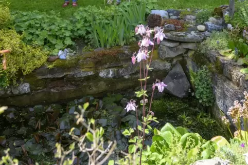 Ebenfalls geöffnet: Nohwieserhof.