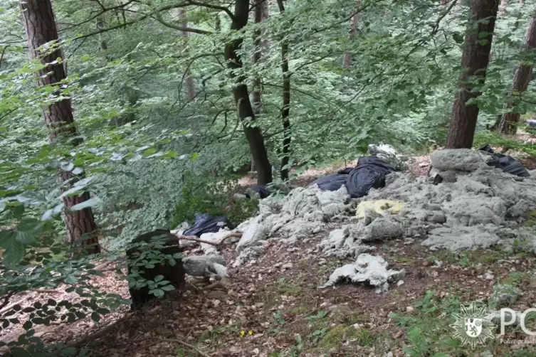 Eine der Fundstellen im Wald bei Lindenberg. 