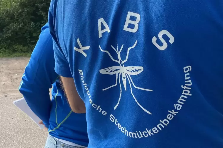 Stichprobe: Mitarbeiter der Kabs waren die Tage im Dauereinsatz gegen Schnaken.