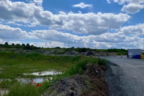 Noch ist sie nur eine Schotterpiste, aber die Ringstraße im Baugebiet Süd X soll bald den Namen einer Göllheimerin tragen.