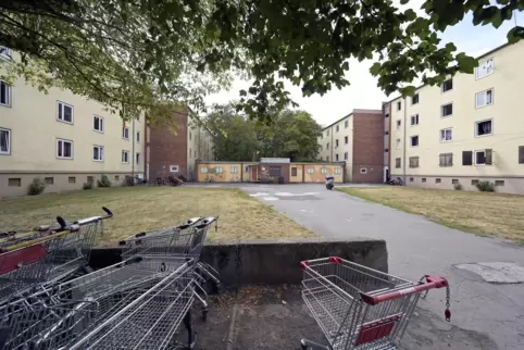 Mehrere Hundert Menschen leben in den desolaten städtischen Einweisungsgebieten in West und in Mundenheim.