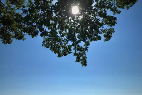 Die Sonne bleibt in den kommenden Tagen vielfach verdeckt – allerdings zumeist von Wolken. 