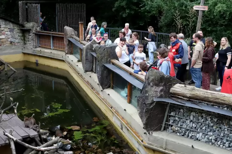 Eingeladen zum Fest im Zoo hatte der ambulante Kinder- und Jugendhospizdienst Windspiel. 