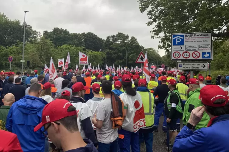 Mit Fahnen und Trillerpfeifen machten die Beschäftigten auf sich aufmerksam. 