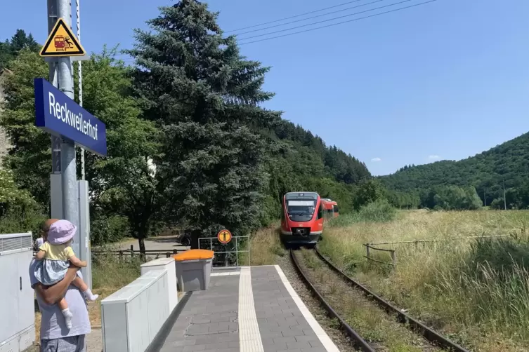 Mehrere Züge der RB 66 – hier am Haltepunkt Reckweilerhof – fallen aus. 