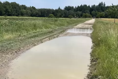  Der Radweg von Büchelberg nach Wörth ist in einem abenteuerlichen Zustand.