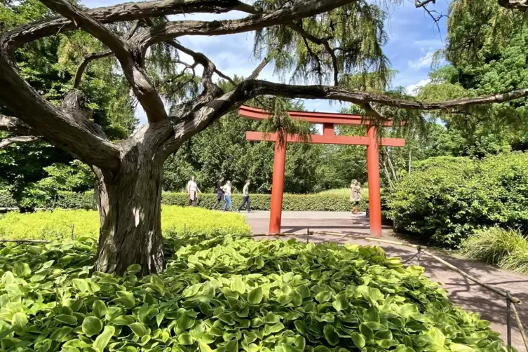 Kunstvolle Natur: Auch ein Japangarten ist Teil des Zoos.
