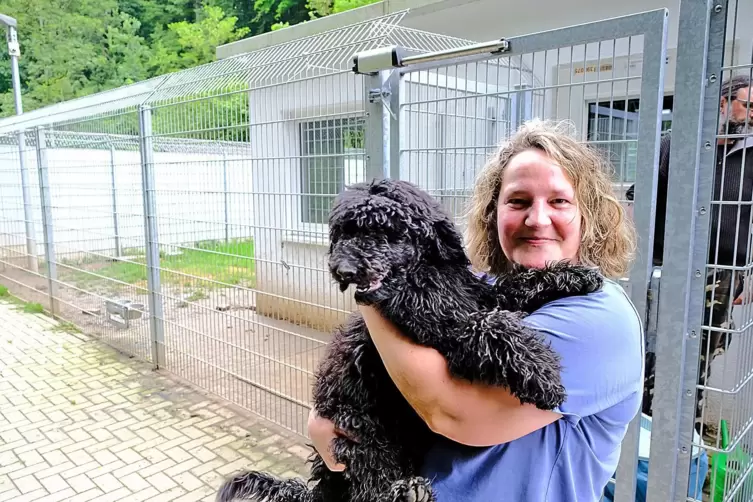  Katja Bösel, Zweite Vorsitzende des Tierschutzvereins Zweibrücken, mit Großpudel Donut. Im Tierheim leben derzeit 19 Hunde, 16 