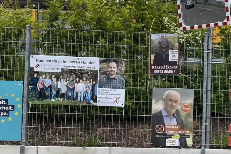 Am Zaun des Hauensteiner Kindergartens Queichpiraten hingen alle Kandidatenplakate, auch die von Steffen Mellein und Michael Zim