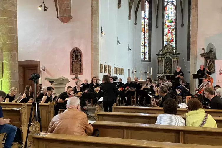 Das Zupforchester Essingen in der Augustinerkirche. 