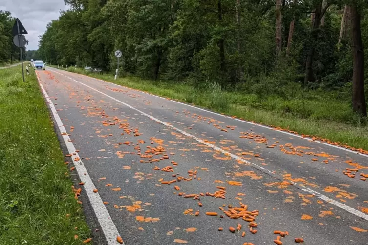 Gefundenes Fressen: Die Polizei fürchtet, dass Ladungsreste im Straßengraben Wildschweine anlocken. 