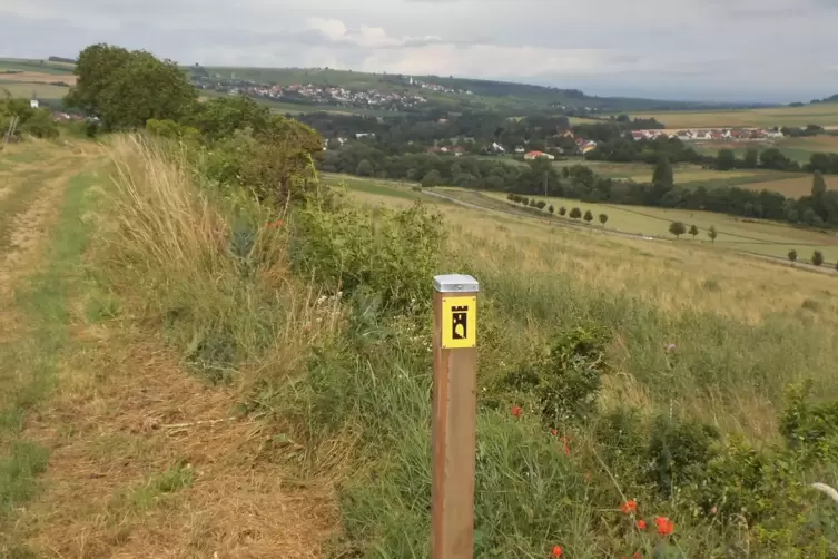 Der 5,3 Kilometer lange Rundweg bietet herrliche Ausblicke – hier nach Osten Richtung Einselthum und Zell. 