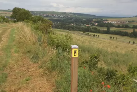 Der 5,3 Kilometer lange Rundweg bietet herrliche Ausblicke – hier nach Osten Richtung Einselthum und Zell. 