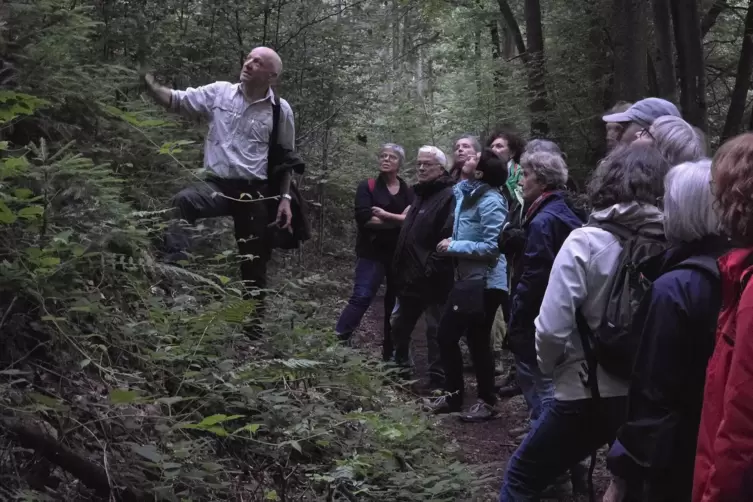 Im Dämmerdunkel zeigt Joachim Weirich, welche Bäume im Hammelstal wachsen.