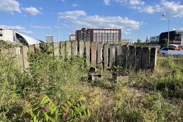 Lost in LU: Das Angebot, sich an der vierspurigen Rheinuferstraße zum Picknick niederzulassen, wird offenbar wenig in Anspruch g