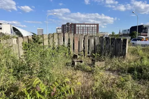 Lost in LU: Das Angebot, sich an der vierspurigen Rheinuferstraße zum Picknick niederzulassen, wird offenbar wenig in Anspruch g