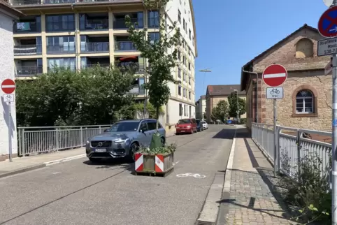 Der Wanderbaum soll die Einbahnstraße verdeutlichen. 