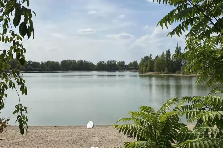 Eine Oase am Stadtrand: der Willersinnweiher zwischen Friesenheim und Oppau.