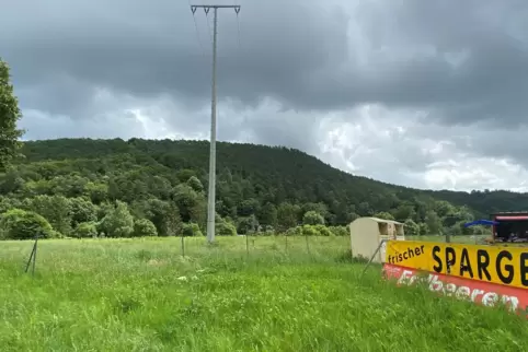 Wo sich derzeit am Ortsausgang von Landstuhl noch Wiesen und Erdbeerfelder erstrecken, soll ein neues Gewerbe- sowie ein Mischge