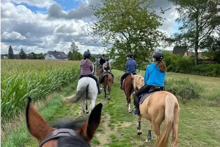 Gemeinsam ausreiten in der schönen Westpfalz.