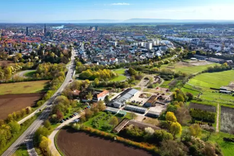 Hier kommt ein Teil des Speyerer Grundwassers her: Zwischen der Stadtgärtnerei (unten) und den Rheinauen befindet sich eine Reih