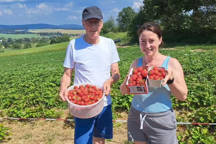 Kurz vor der Mittagshitze waren Klaus Reichert und Verena Kellerer mit dem Erdbeerpflücken in Konken fertig. 