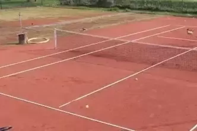 tus landsberg tennis