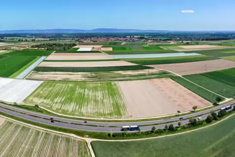 Entlang der B9: Hier könnten sich mal Windräder drehen – ob, wie viele und wo genau hängt von der Zustimmung der Eigentümer der 