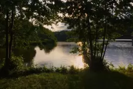 Der Mohrmühlweiher bei Waldmohr. 