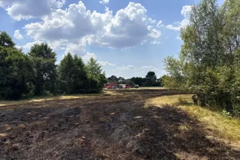 Bei dem Brand standen etwa 3000 Quadratmeter Feld in Flammen. 