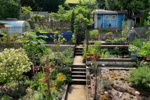 Hier gibt es immer was zu tun: Renate Martin in ihrem Garten. 