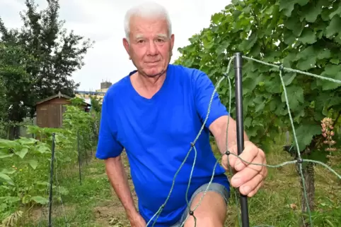 Karl-Heinz Kaub mit dem demolierten Elektrozaun.