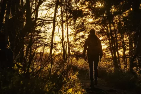 Eine Frau wandert am Feldberg