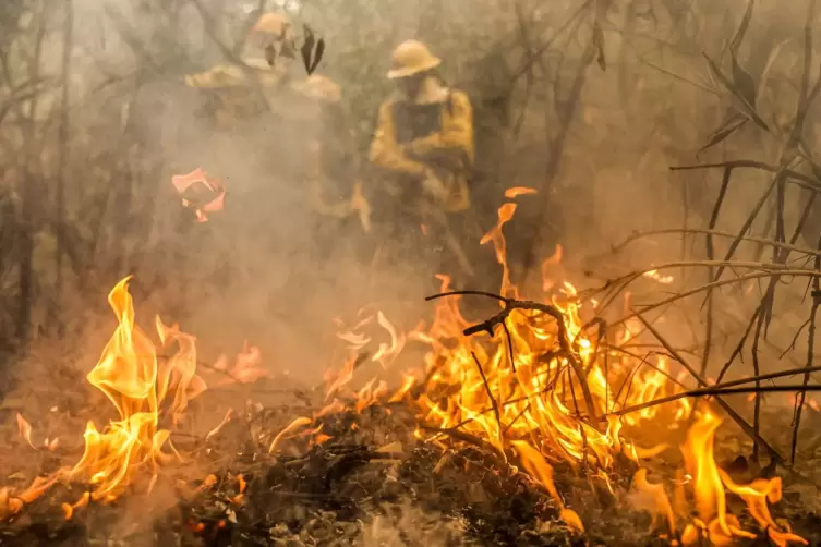 Rekordwaldbrände in Brasiliens Feuchtgebiet Pantanal