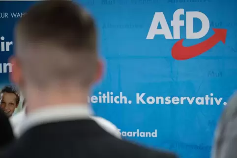 AfD Saarland